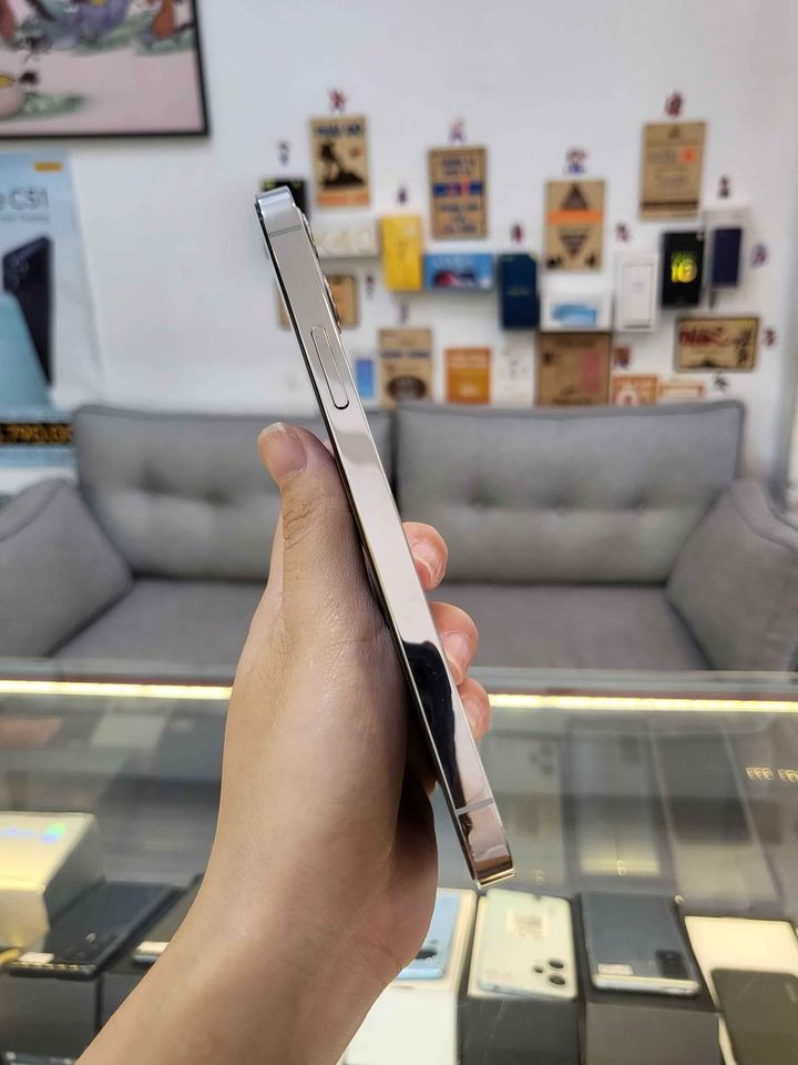 Điện thoại cũ iPhone 12  Pro